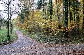 w-traiser-weg-11-0411.jpg